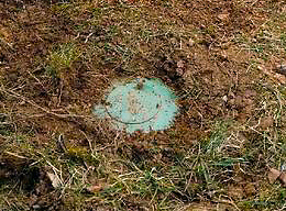 yard-drainage-management